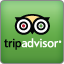 Trip Advisor Logo